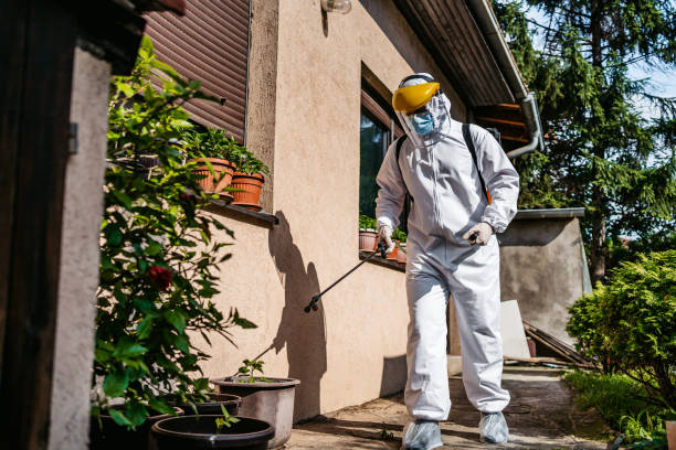 Best Affordable Pest Control Services  in Dasher, GA