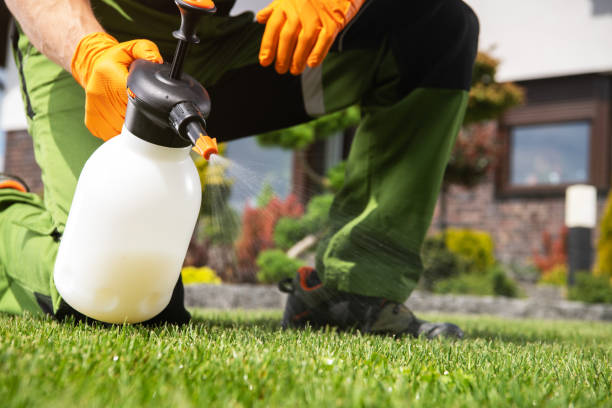 Best Bed Bug Extermination  in Dasher, GA