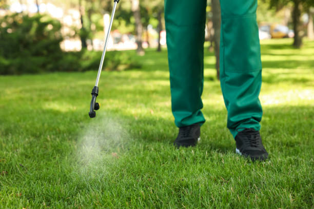 Best Insect Control  in Dasher, GA