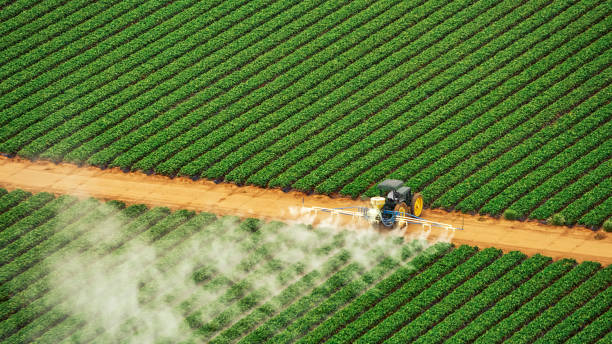 Best Pest Removal Services  in Dasher, GA