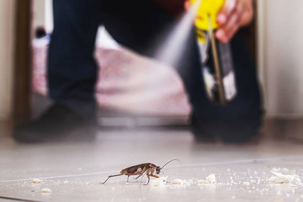 Best Exterminator Services  in Dasher, GA