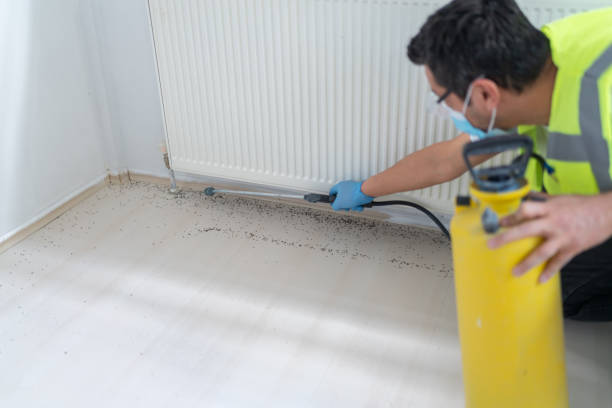 Wasp Removal Services in Dasher, GA
