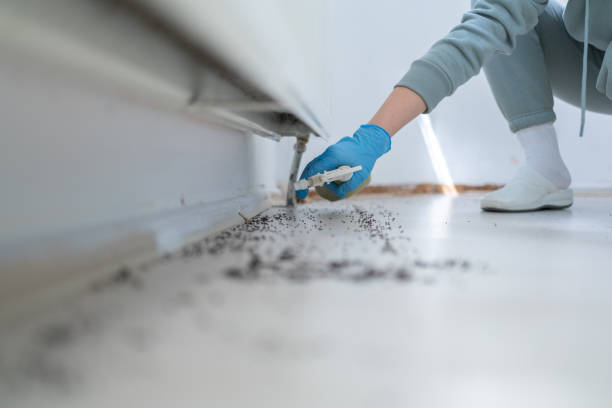 Best Affordable Exterminators  in Dasher, GA