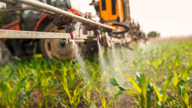 Best Pest Control Cost  in Dasher, GA